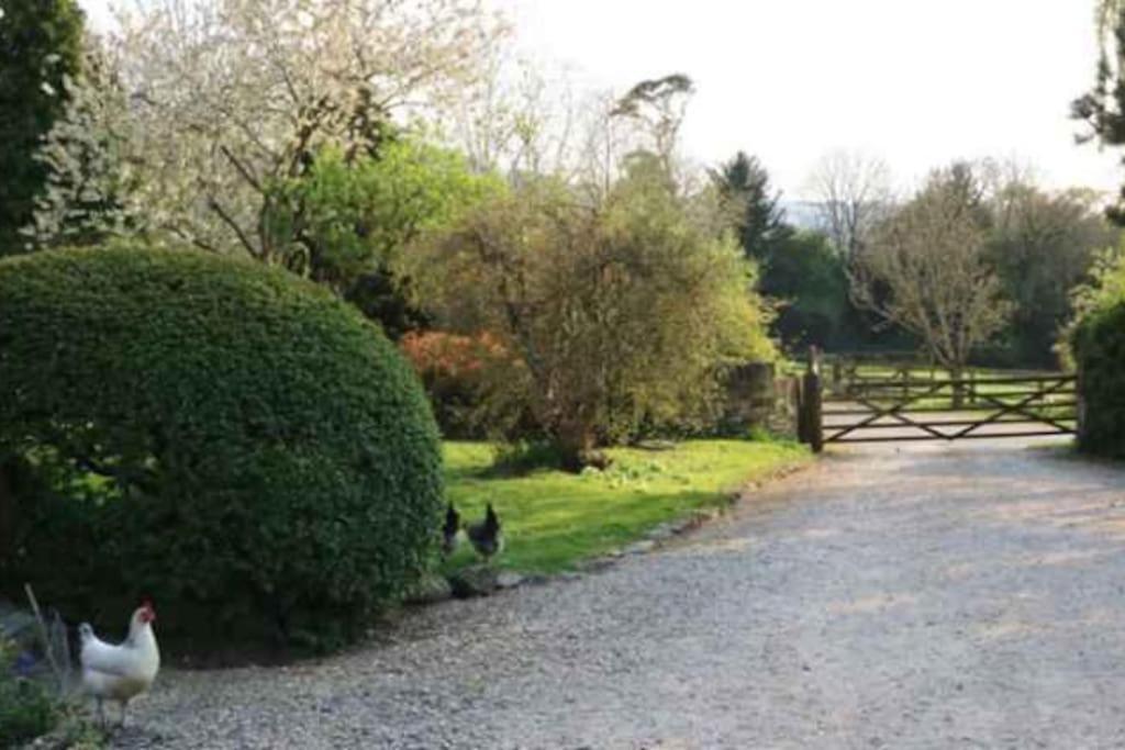 Stunning Stone Cottage On Bath'S Doorstep ボックス エクステリア 写真